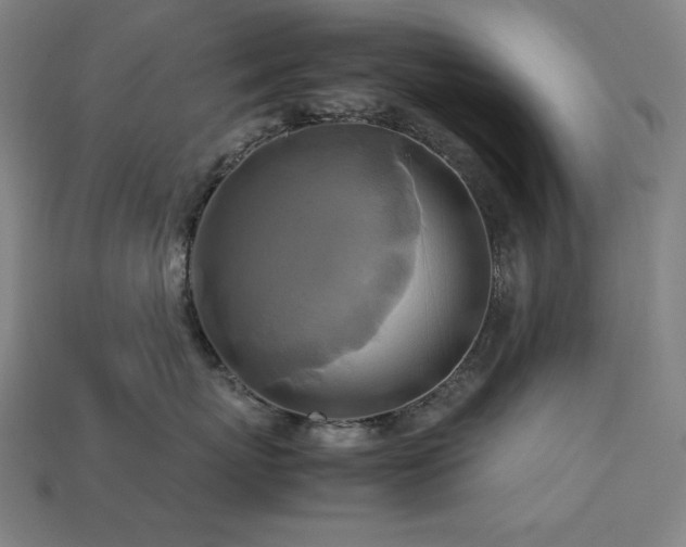 X0000113760767200909231205