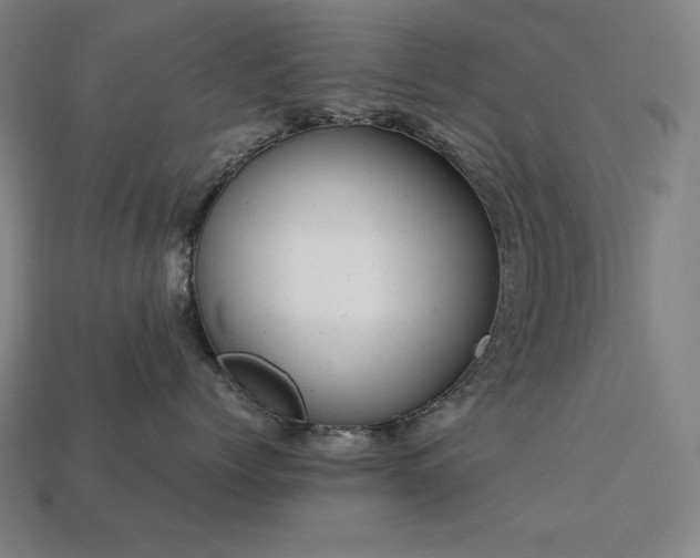 X0000113760768200909231205