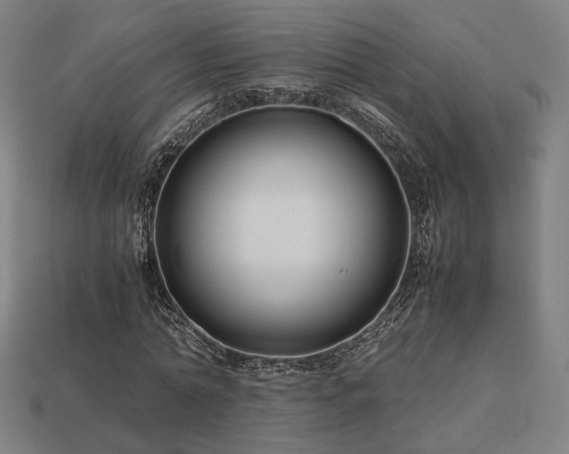 X0000113760774200909231204