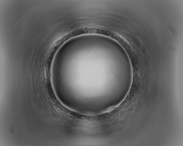 X0000113760775200909231204