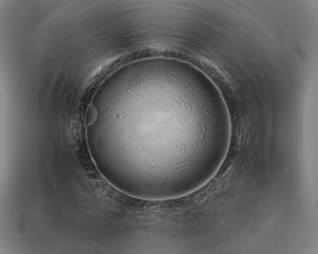X0000113760776200909231204