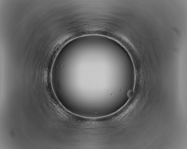 X0000113760777200909231204