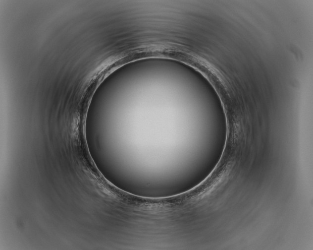 X0000113760778200909231204