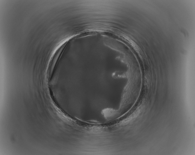 X0000113760779200909231204