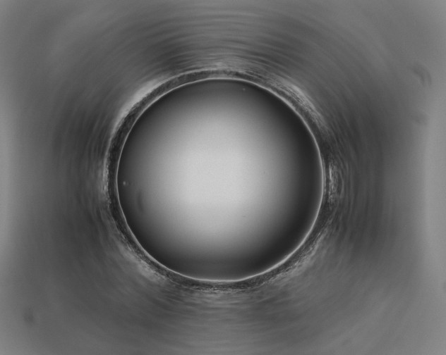 X0000113760780200909231204