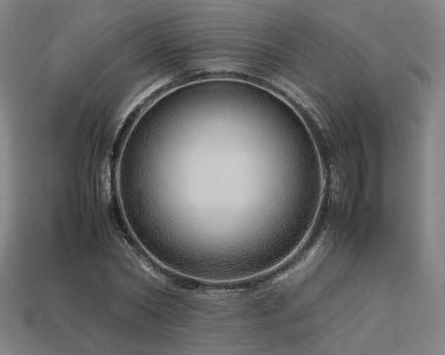 X0000113760782200909231204