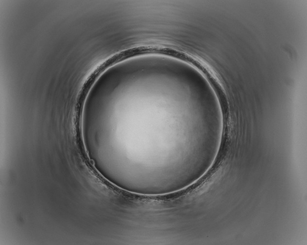 X0000113760783200909231204