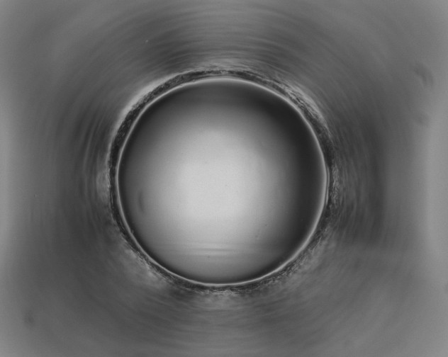 X0000113760784200909231204