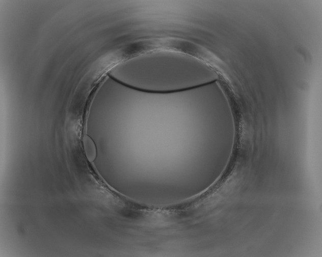 X0000113760785200909231204