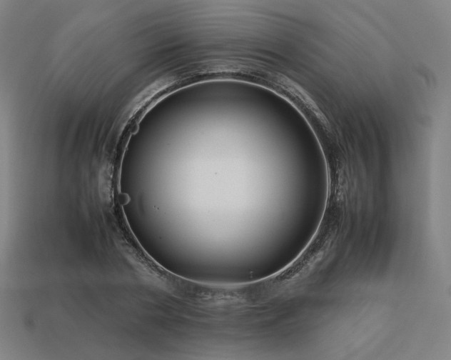 X0000113760786200909231204