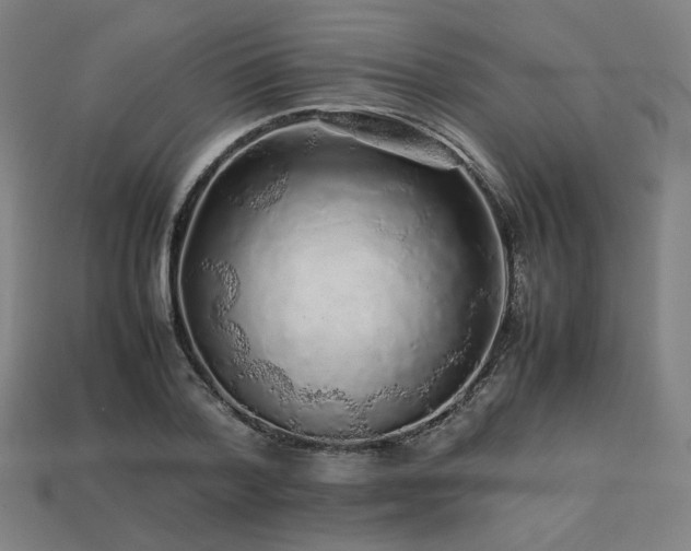 X0000113760788200909231204