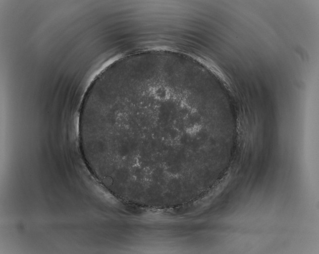X0000113760790200909231204