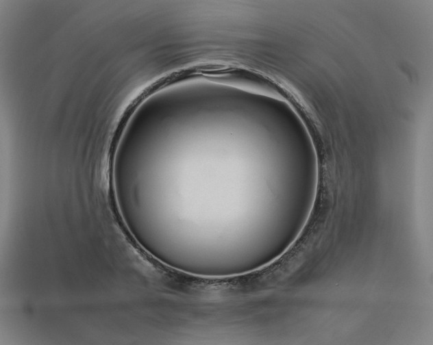 X0000113760791200909231204