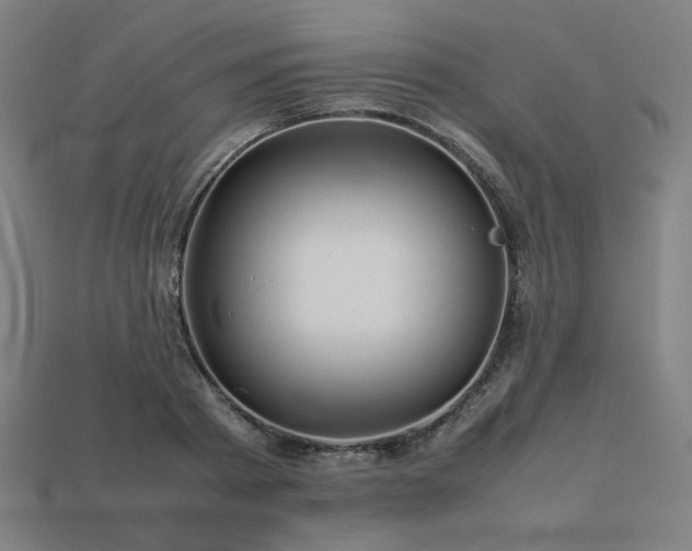 X0000113760793200909231204