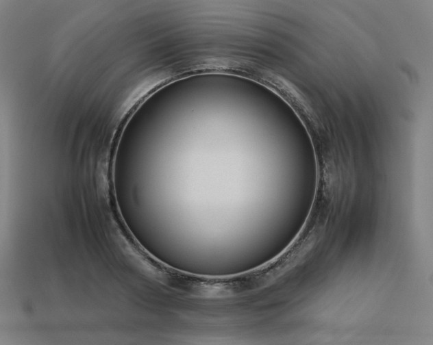 X0000113760794200909231204