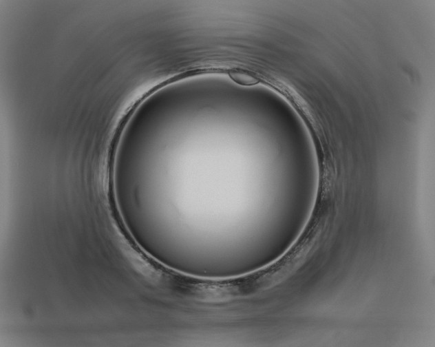 X0000113760795200909231204