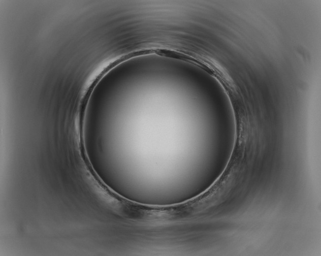 X0000113760796200909231204