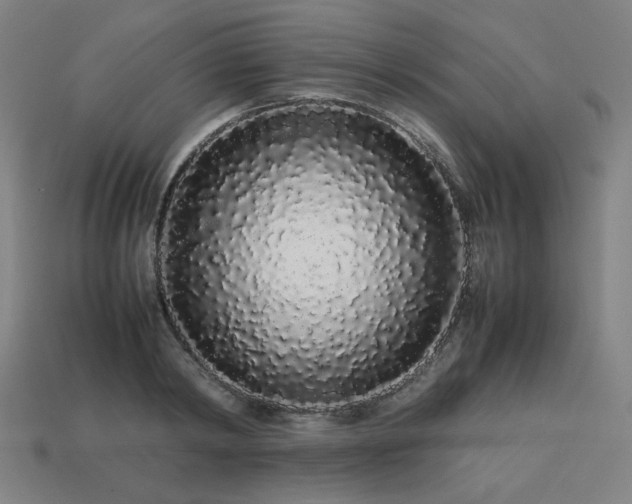 X0000113760798200909231204