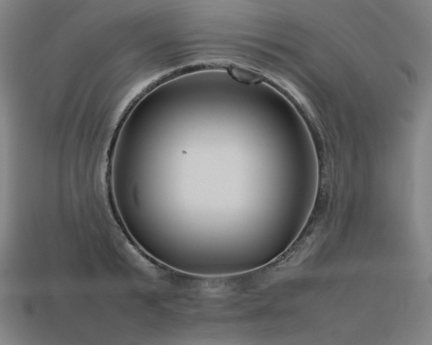 X0000113760799200909231204