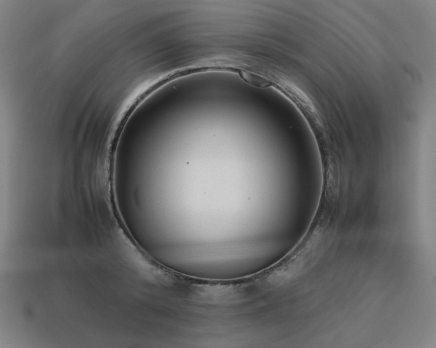 X0000113760800200909231204