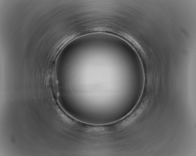 X0000113760801200909231204