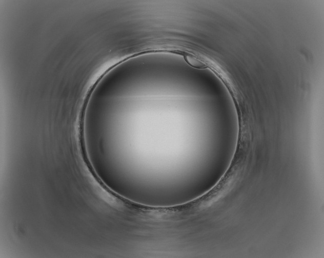 X0000113760803200909231204