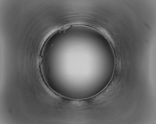 X0000113760805200909231204