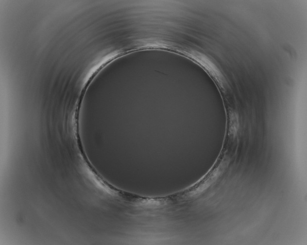 X0000113760806200909231204