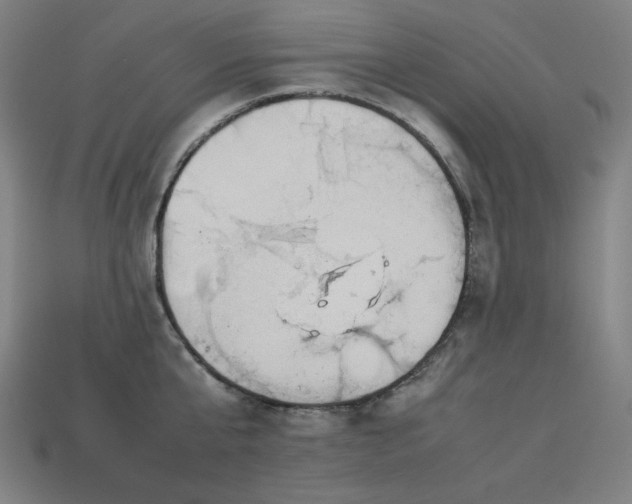 X0000113760807200909231204
