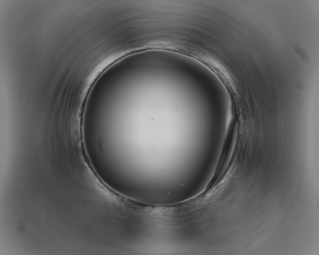 X0000113760808200909231204