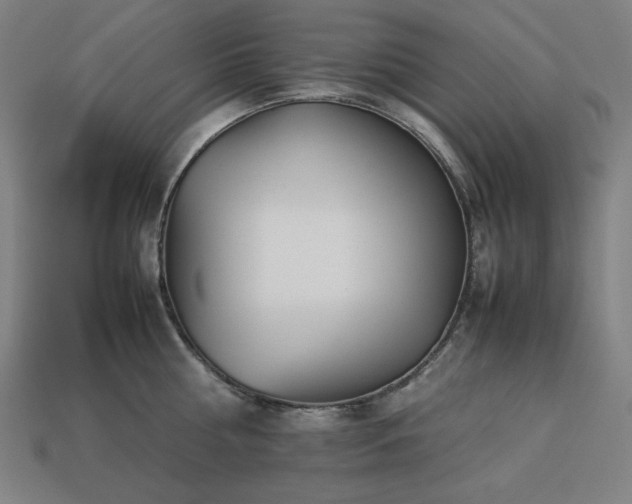 X0000113760810200909231204