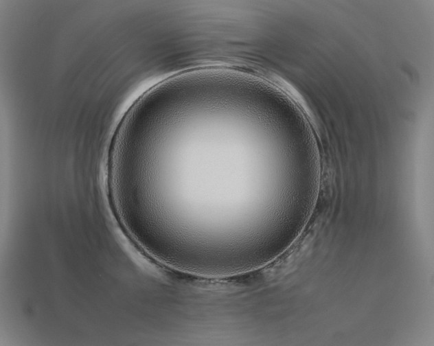 X0000113760811200909231204
