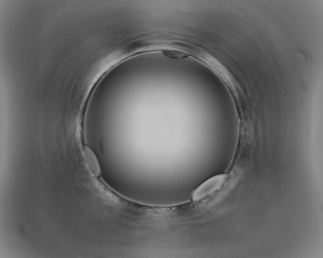 X0000113760813200909231204