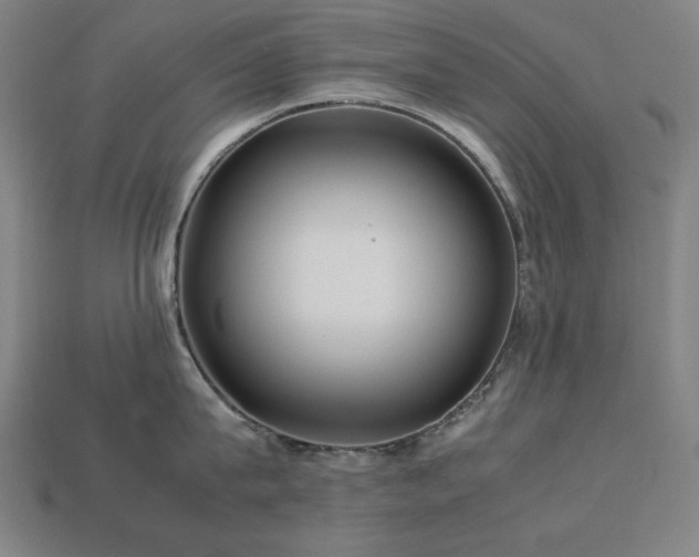 X0000113760815200909231204