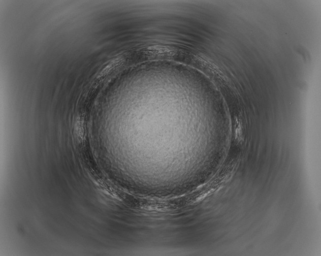 X0000113760819200909231203