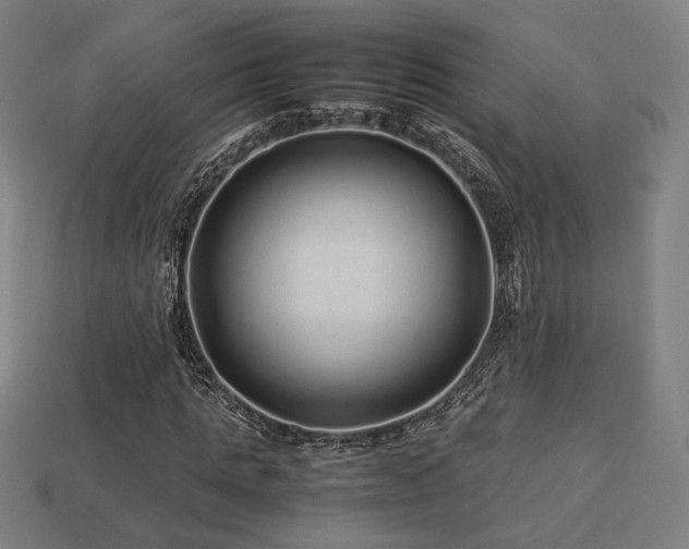 X0000113760821200909231203