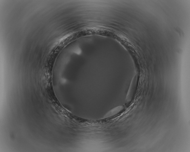 X0000113760822200909231203