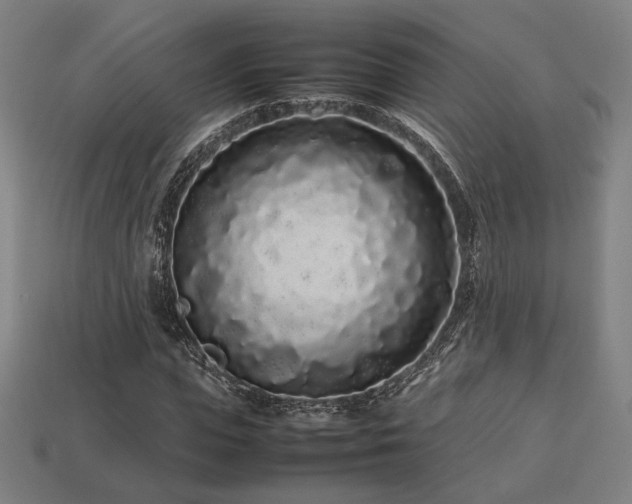 X0000113760823200909231203