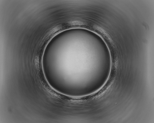 X0000113760825200909231203