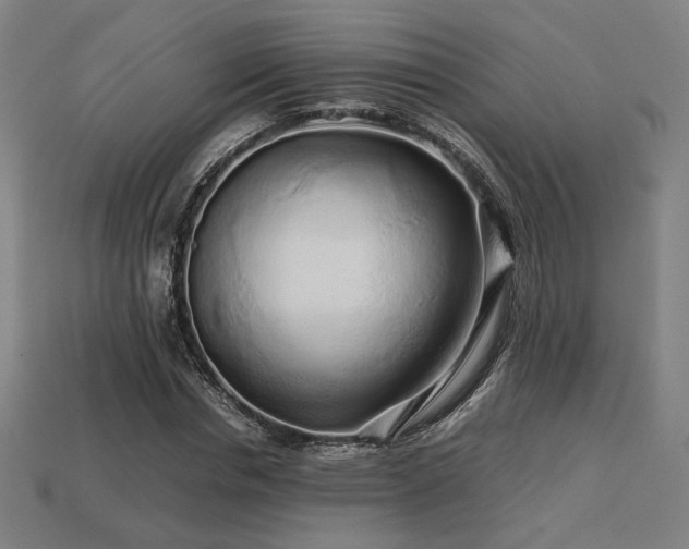 X0000113760826200909231203