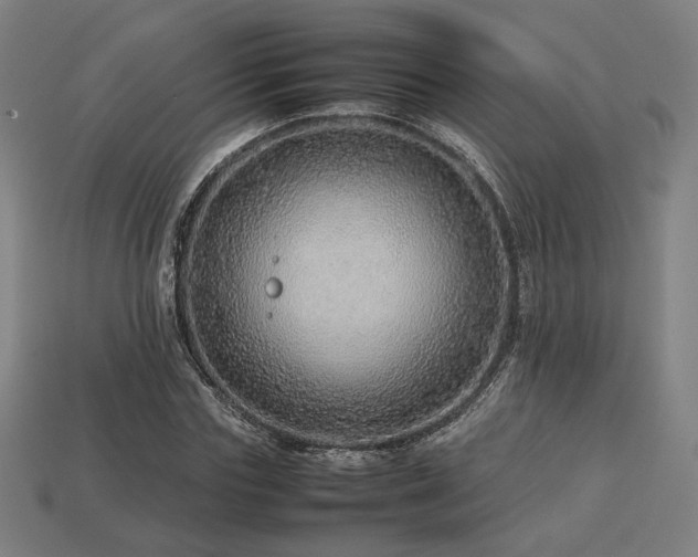 X0000113760827200909231203