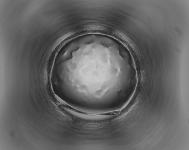 X0000113760829200909231203