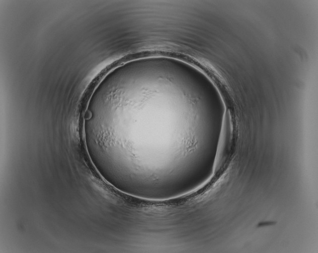X0000113760830200909231203