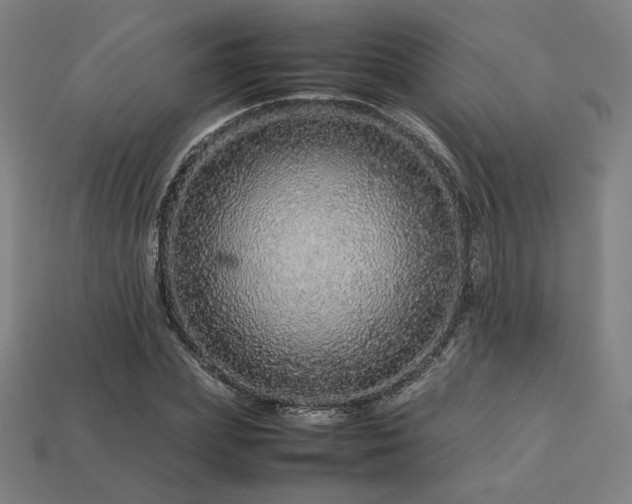X0000113760831200909231203
