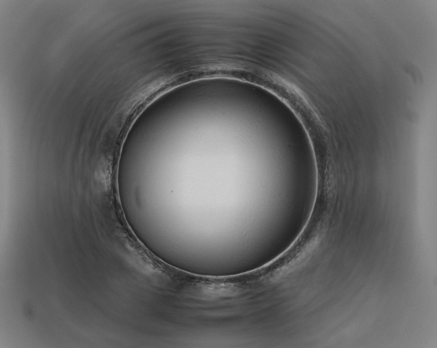 X0000113760833200909231203