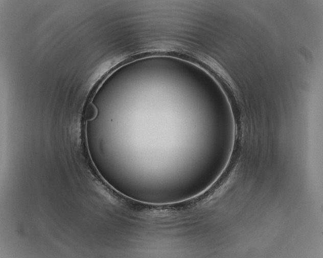X0000113760834200909231203