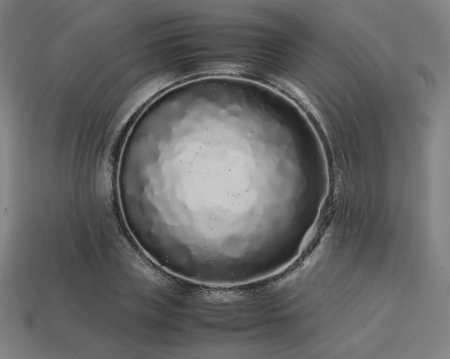 X0000113760835200909231203