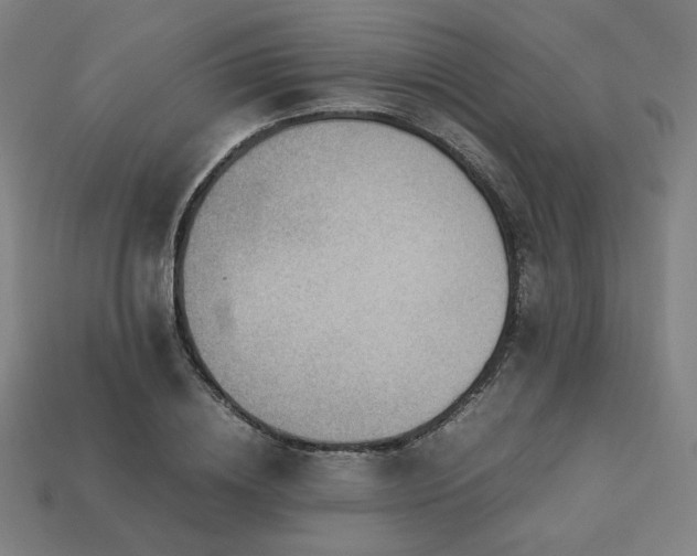 X0000113760836200909231203