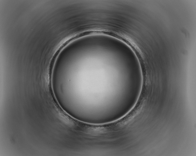 X0000113760837200909231203