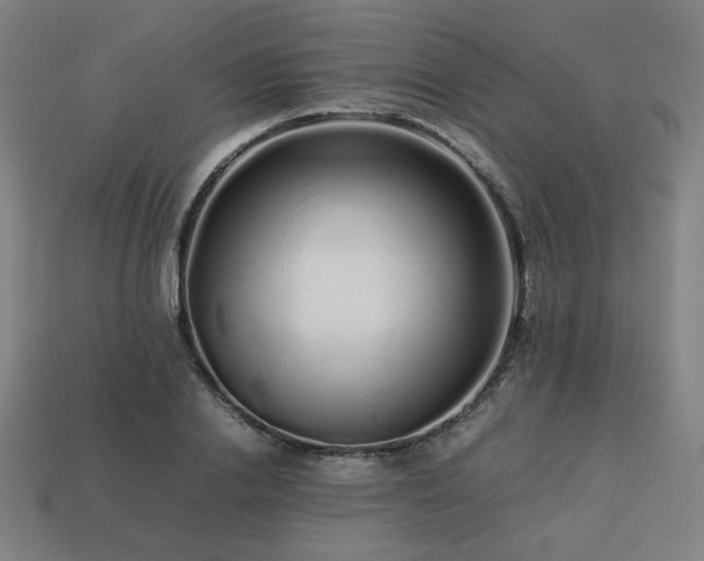 X0000113760838200909231203